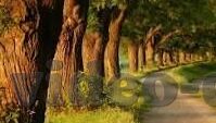 91精品人妻-91精品人妻，网络文化中的情感与道德边界探讨
