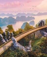 大象传媒在线播放-探索大象传媒在线播放的多元化与影响力