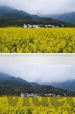 国产成人免费视频精品-国产成人免费视频精品，多元化娱乐的边界与思考
