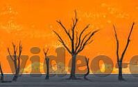 久久精品熟女亚洲av麻豆软件-邂逅熟龄风韵——探索久久精品熟女亚洲av麻豆软件之魅力
