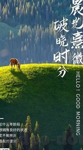 糖心视频网站app-以时尚担当之名，糖心视频网站APP的使用与争议探讨